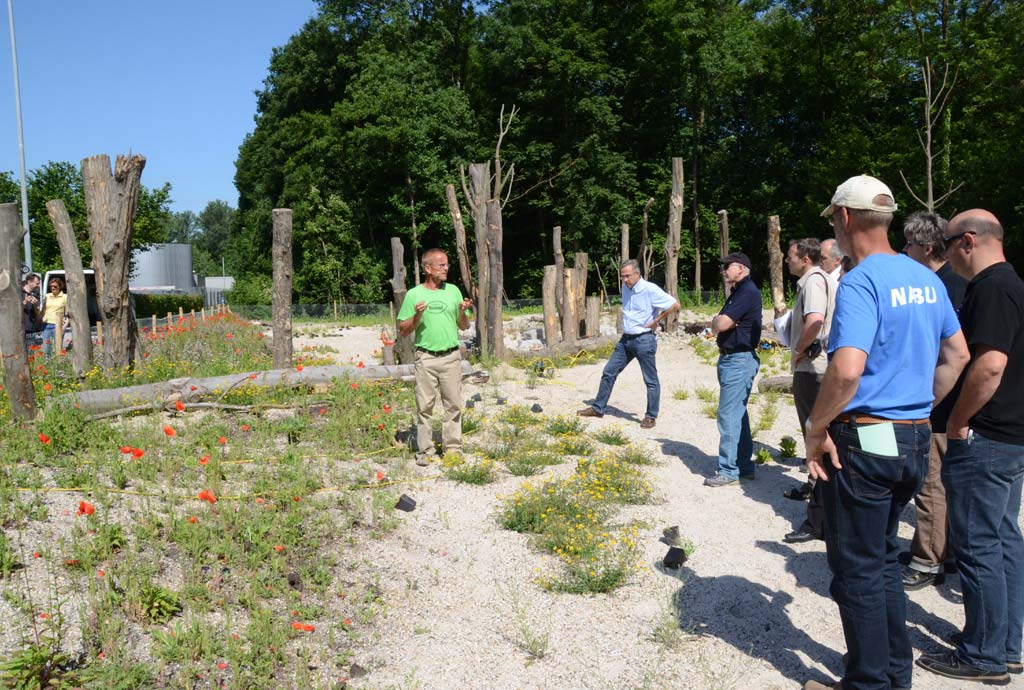Aktionstag mit Azubis und Mitarbeitern vom Rastatter und Gaggenauer Werk. Reinhard Witt erklärt, was zu tun ist. Zunächst einmal sollen die Wildstauden eingepflanzt werden, die übers Gelände verteilt liegen.
