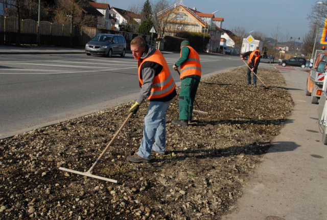 Neu angelegte Fläche an der Münchner Strasse in Ebersberg. Der Bauhof recht das Saatgut ein