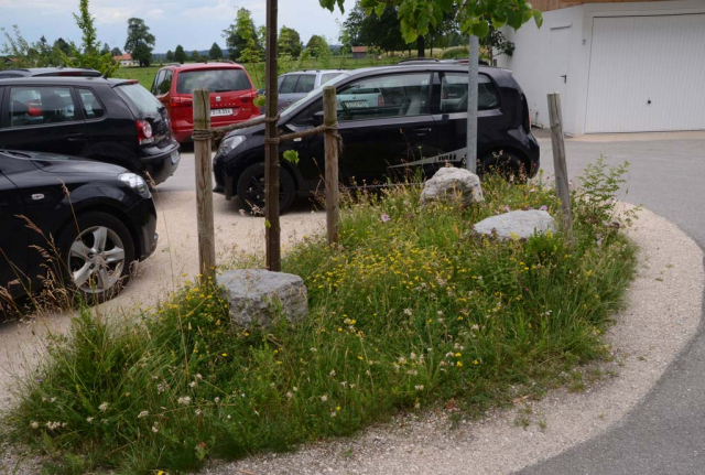 Auf einer kleinen Parkplatzinsel mit wassergebundener Wegedecke blüht eine bunte Blumenwiese