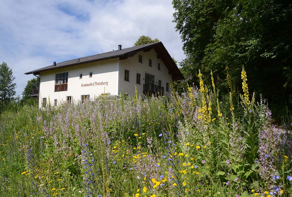 Blühender Saum mit Muskatellersalbei. Schon Jahr nach der Ansaat wird der Seminarhof Tratzberg von Wildblumen umschirmt.